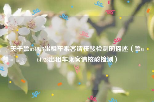 关于鲁ut4923出租车乘客请核酸检测的描述（鲁ut4923出租车乘客请核酸检测）
