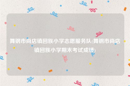 舞钢市尚店镇回族小学志愿服务队(舞钢市尚店镇回族小学期末考试成绩)