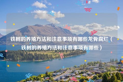 铁树的养殖方法和注意事项有哪些龙骨腐烂（铁树的养殖方法和注意事项有哪些）