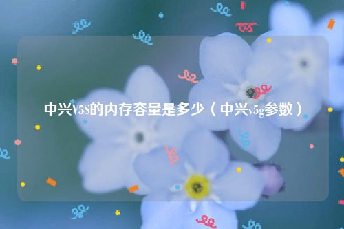 中兴V5S的内存容量是多少（中兴v5g参数）