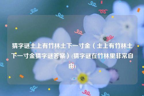 猜字谜土上有竹林土下一寸金（土上有竹林土下一寸金猜字谜答案）(猜字谜在竹林里非常自由)