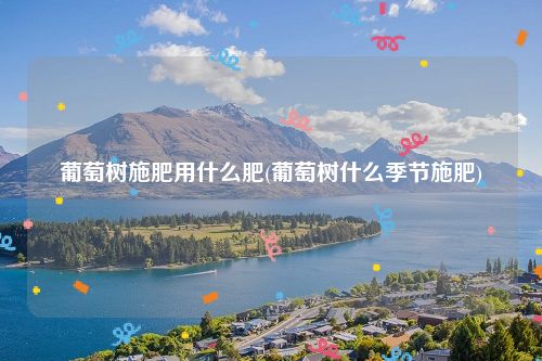 葡萄树施肥用什么肥(葡萄树什么季节施肥)