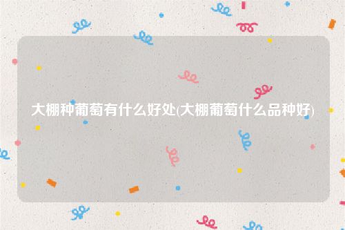 大棚种葡萄有什么好处(大棚葡萄什么品种好)