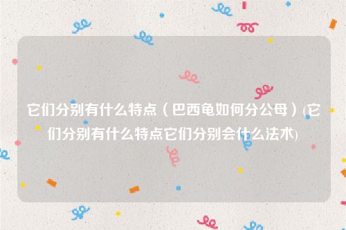 它们分别有什么特点（巴西龟如何分公母）(它们分别有什么特点它们分别会什么法术)