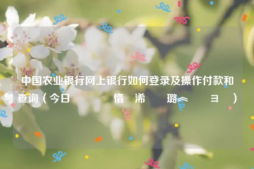 中国农业银行网上银行如何登录及操作付款和查询（今日鍐滀笟閾惰浠樻璐︽埛鏌ヨ）