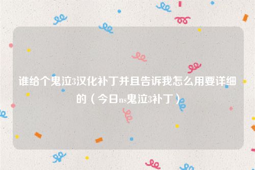 谁给个鬼泣3汉化补丁并且告诉我怎么用要详细的（今日ns鬼泣3补丁）