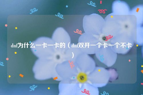 dnf为什么一卡一卡的（dnf双开一个卡一个不卡）