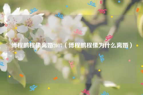 傅程鹏程愫离婚2017（傅程鹏程愫为什么离婚）