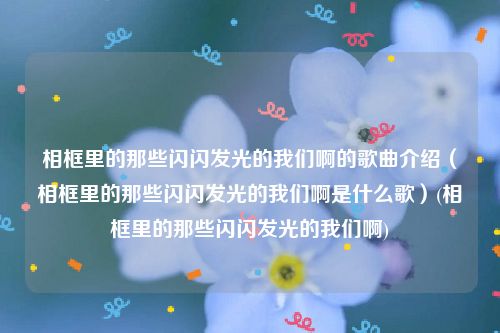 相框里的那些闪闪发光的我们啊的歌曲介绍（相框里的那些闪闪发光的我们啊是什么歌）(相框里的那些闪闪发光的我们啊)