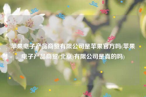 苹果电子产品商贸有限公司是苹果官方吗(苹果电子产品商贸(北京)有限公司是真的吗)