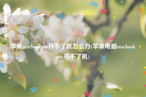 苹果macbookpro开不了机怎么办(苹果电脑macbookpro开不了机)