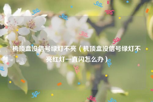机顶盒没信号绿灯不亮(机顶盒没信号绿灯不亮红灯一直闪怎么办)