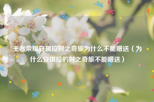 王者荣耀安琪拉时之奇旅为什么不能赠送（为什么安琪拉的时之奇旅不能赠送）