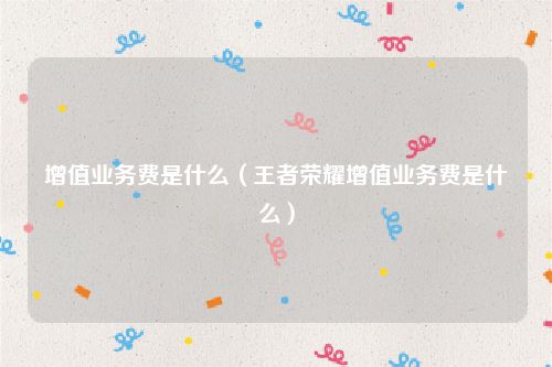 增值业务费是什么（王者荣耀增值业务费是什么）