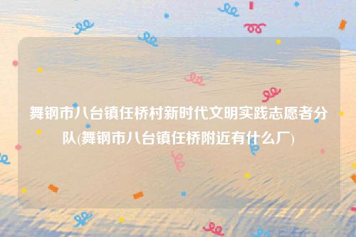舞钢市八台镇任桥村新时代文明实践志愿者分队(舞钢市八台镇任桥附近有什么厂)