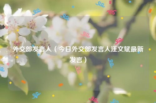 外交部发言人（今日外交部发言人汪文斌最新发言）