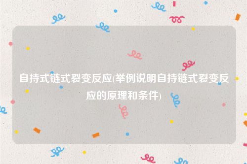 自持式链式裂变反应(举例说明自持链式裂变反应的原理和条件)