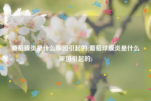 葡萄膜炎是什么原因引起的(葡萄球膜炎是什么原因引起的)