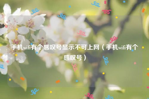 手机wifi有个感叹号显示不可上网（手机wifi有个感叹号）