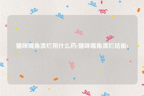 猫咪嘴角溃烂用什么药(猫咪嘴角溃烂结痂)