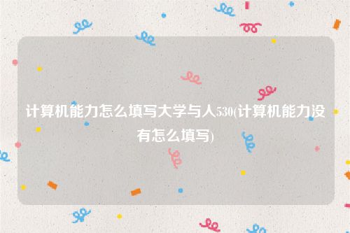 计算机能力怎么填写大学与人530(计算机能力没有怎么填写)