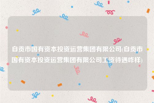 自贡市国有资本投资运营集团有限公司(自贡市国有资本投资运营集团有限公司工资待遇咋样)