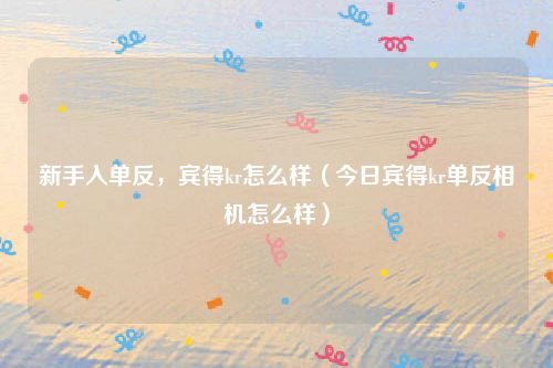 新手入单反，宾得kr怎么样（今日宾得kr单反相机怎么样）