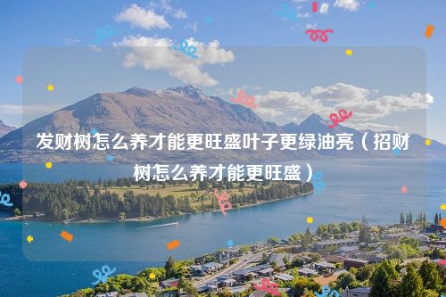 发财树怎么养才能更旺盛叶子更绿油亮（招财树怎么养才能更旺盛）