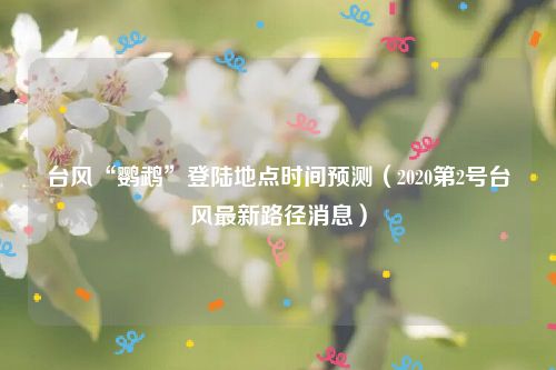 台风“鹦鹉”登陆地点时间预测（2020第2号台风最新路径消息）