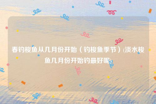 春钓梭鱼从几月份开始（钓梭鱼季节）(淡水梭鱼几月份开始钓最好呢)