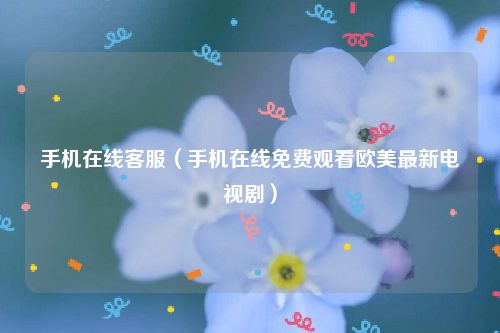 手机在线客服（手机在线免费观看欧美最新电视剧）