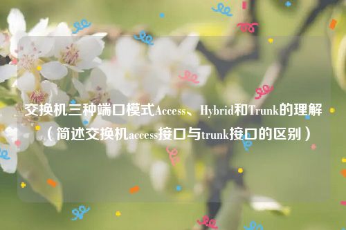交换机三种端口模式Access、Hybrid和Trunk的理解（简述交换机access接口与trunk接口的区别）