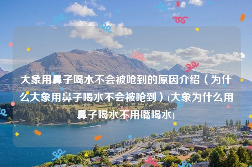 大象用鼻子喝水不会被呛到的原因介绍（为什么大象用鼻子喝水不会被呛到）(大象为什么用鼻子喝水不用嘴喝水)