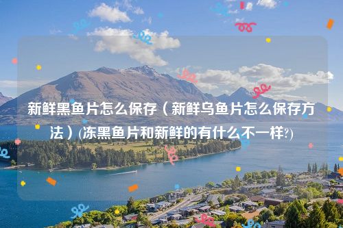 新鲜黑鱼片怎么保存（新鲜乌鱼片怎么保存方法）(冻黑鱼片和新鲜的有什么不一样?)