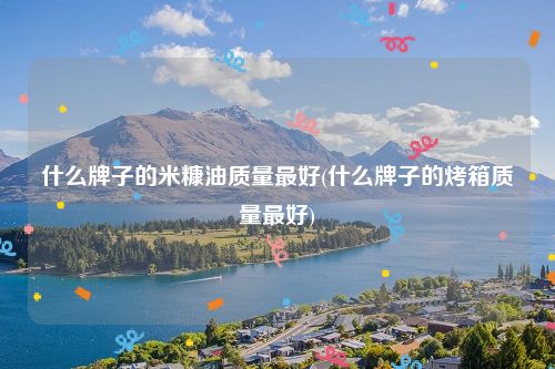 什么牌子的米糠油质量最好(什么牌子的烤箱质量最好)