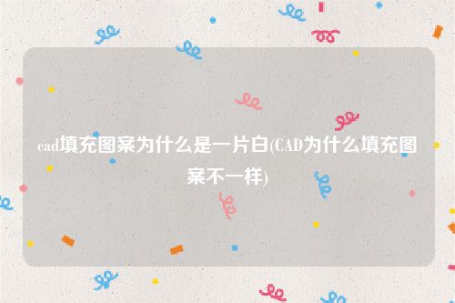cad填充图案为什么是一片白(CAD为什么填充图案不一样)