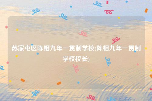 苏家屯区陈相九年一贯制学校(陈相九年一贯制学校校长)