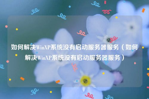 如何解决WinXP系统没有启动服务器服务（如何解决WinXP系统没有启动服务器服务）
