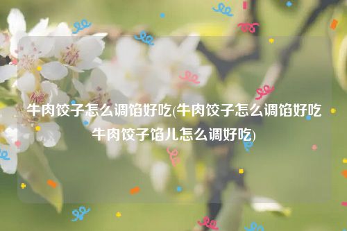 牛肉饺子怎么调馅好吃(牛肉饺子怎么调馅好吃牛肉饺子馅儿怎么调好吃)