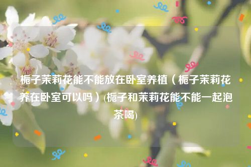 栀子茉莉花能不能放在卧室养植（栀子茉莉花养在卧室可以吗）(栀子和茉莉花能不能一起泡茶喝)