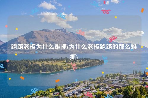 跑路老板为什么难抓(为什么老板跑路的那么难抓)