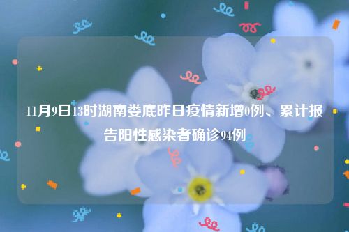 11月9日13时湖南娄底昨日疫情新增0例、累计报告阳性感染者确诊94例