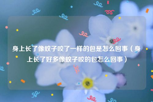 身上长了像蚊子咬了一样的包是怎么回事（身上长了好多像蚊子咬的包怎么回事）
