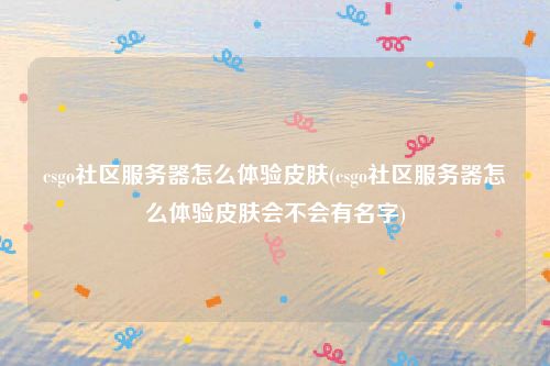 csgo社区服务器怎么体验皮肤(csgo社区服务器怎么体验皮肤会不会有名字)