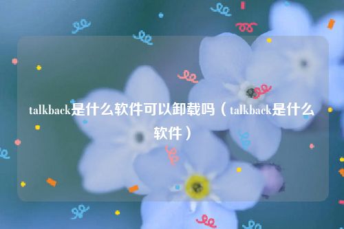 talkback是什么软件可以卸载吗（talkback是什么软件）