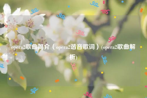 opera2歌曲简介（opera2谐音歌词）(opera2歌曲解析)