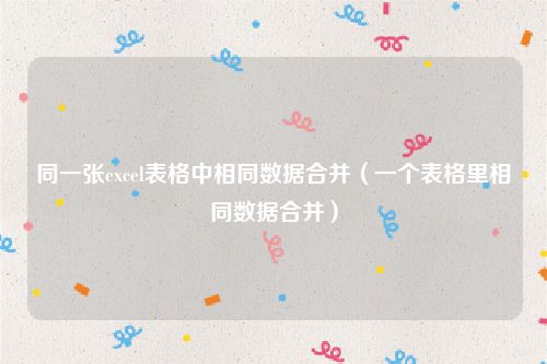 同一张excel表格中相同数据合并（一个表格里相同数据合并）