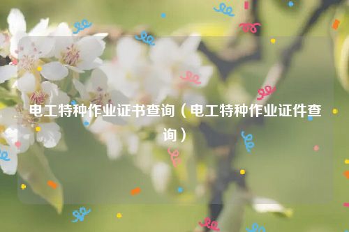 电工特种作业证书查询（电工特种作业证件查询）