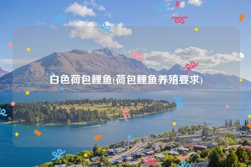 白色荷包鲤鱼(荷包鲤鱼养殖要求)