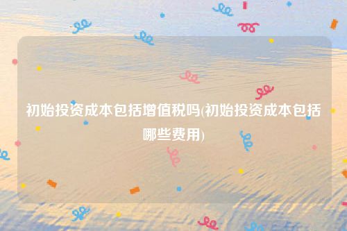 初始投资成本包括增值税吗(初始投资成本包括哪些费用)
